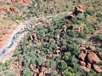Granite outcrops are islands of diverse flora within a vast spinifex landscape.