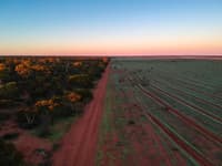 Eurardy Reserve on Nhanda country is the site of our 1 Million Trees project funded by Volkswagen donation.
