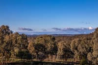 Volkswagens donation creates a new healthy habitat at Tarcutta Hills Reserve.