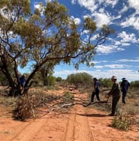 Ken and the Malgana Rangers brushing over the track once the fence has been removed.