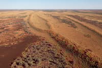 Aerial view of dunes and vegetation on red, sandy, desert landscape.