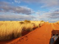 Sandy track through the grasslands.