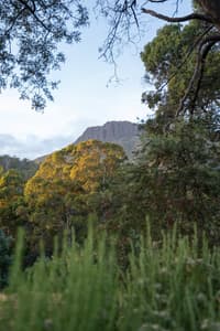 View from Oura Oura to Drys Bluff