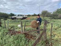 Gail hard at work fencing.