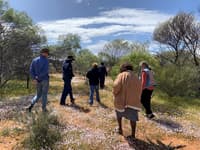 Walking and talking with Badimia through the wildflowers at Charles Darwin Reserve.