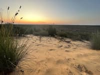 Eurardy Reserve Nanda Country WA.