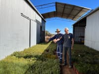 Restoration specialist Dr Geoff Woodall and Reserve Manager Sam Fischer stand surrounded by trays and trays of seedlings at Eurardy Reserve.