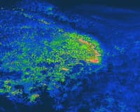 Heat map of Yourka fire.