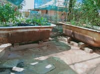 Two old bathtubs being used to grow vegetables.