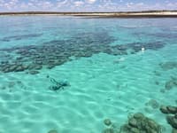 A BRUVS drop is carried out in the waters of Hamelin Pool, WA. Photo by Greg Suosaari.