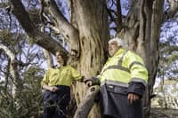 Dja Dja Wurrung Ranger Ron Kerr and field officer Jackson Dunolly. Photo Annette Ruzicka.