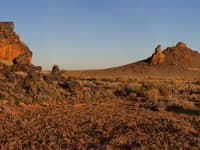 Boolcoomatta Station Reserve, SA. Photo Geoff Pinney.