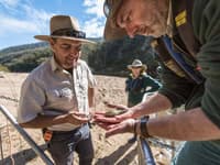 Scottsdale Reserve Manager Phil Palmer inspects a threatened Trout Cod, before releasing it back into the river. Photo Annette Ruzicka.