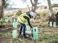 Volunteers planting seedlings at Scottsdale Reserve.