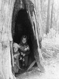 Annette Dean and her brother find shelter in a tree in the Liffey Valley.