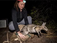 Jasmin Bourne releases a Flashjack on Avocet Nature Refuge. Photo Annette Ruzicka.