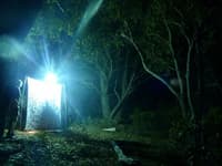 The moth survey setup. Photo Suzi Bond.