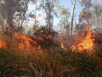 Burning Siam on Yourka Reserve.