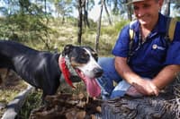 Bush Heritage volunteer Shane Jackson and his Catahoula dog Annie. Photo Leanne Hales.