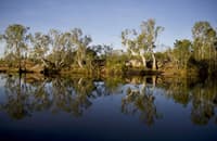 Munurru (King Edward) river in the Northern Territory.