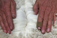 Hands part a fleece to show the fine texture of the wool.