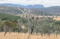 Natural areas on Kingston Farm.