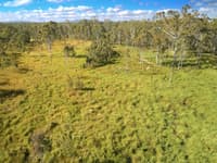 Grassy woodlands on Yourka Reserve. Photo Martin Willis.