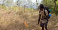 Wunambal Gaambera rangers light small grass fires as they walk. Photo Mark Jones.