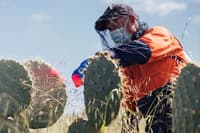 Andrew (Djandak enterprises) undertakes Wheel Cactus control at Buckrabanyule. Photo Stu Heppell.