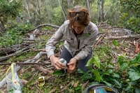 Vanessa Place setting up a bait station. Photo Michael Blyde.