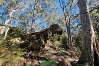 A rocky outcrop at our new Tasmanian reserve, Glovers Flat. By Mike Bretz.