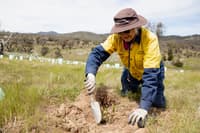 Volunteer Ute Foster. By Bee Stephens