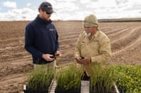 Alex Hamms and Eugene Eades checking trays of seedlings.