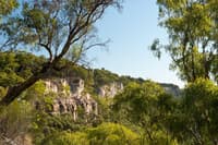 The sandstone cliffs of Carnarvon Station Reserve.