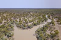 Flooded channels on Naree Reserve. By Justin McCann