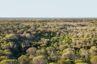 Badimia Country on Charles Darwin Reserve, Western Australia. By Chontarle Belottie