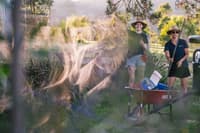 Setting a mist net for bird monitoring at Scottsdale Reserve, Ngambri and Ngarigo Country, NSW. Photo: Tad Souden.