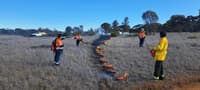 Fire training at Red Moort Reserve with Nowanup Rangers.