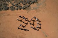 The growing and dedicated collective behind Charles Darwin Reserve.