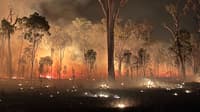 Bushfire on Carnarvon Station Reserve, Bidjara Country, Queensland.