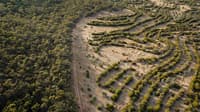 High above the Climate-Ready Revegetation Research Project, Dja Dja Wurrung Country, Victoria.