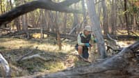 A weeding contractor removes a thistle at Tarcutta Hills Reserve, Wiradjuri Country, New South Wales. By Grassland Films