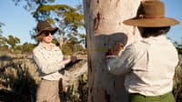 Shelley Foster and Fiamma Riviera measuring an old eucalypt at Wanarra. Photo Andy McGregor.