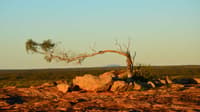 View from Wanarra to Mount Singleton.