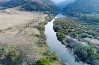 Aerial view of revegetation work on the Murrumbidgee River at Scottsdale Reserve.