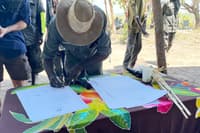 Aboriginal people and white people putting hands together to make something good for our future generations. “Yolngi ga balanda ban nyiyala gumburrgurryugurryum banbala djamayum ngambila manymak nawala yuyung’mirrnguru gulyuk’wo” - Rexy Djarrkadama, Ranger, Arafura Swamp Rangers Aboriginal Corporation. By Sara Weir