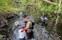 Nathan Berridge (right) helps Ned Garlick-Kelly and Dean Gilligan with freshwater surveys at Reedy Creek.