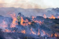 Cultural burn at Friendly Beaches Reserve, Tasmania.