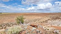 Samphire flats around Monger Lake. By Christine Lawrence and Richard Hamilton