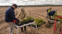 Reserve Manager Alex Hams, Eugene Eades and revegetation work at Ediegarrup Reserve. Photo Adrian Gaspari.